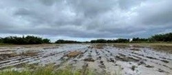 AVIS AUX AGRICULTEURS Commission de constat de dégâts aux cultures Dégâts dus à la pluie et au gel hiver 2023-2024 sur les cultures