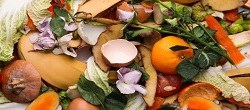 IPALLE - Dès 2024, les déchets de cuisine séparés du sac poubelle