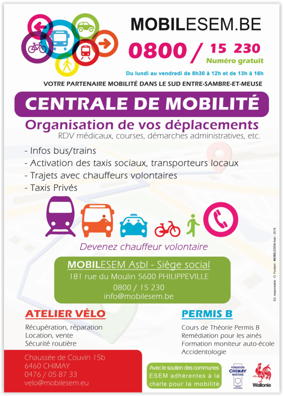 Mobiliesem