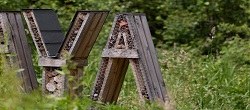 La biodiversité tous concernés !
